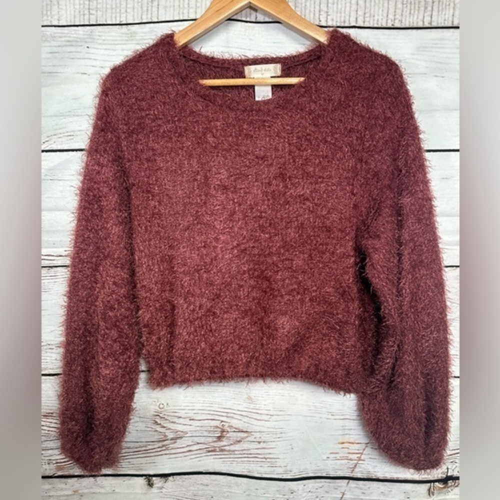 Altard State Womens Crop‎ Blush Fuzzy Sweater Size Medium Long Sleeve Pullover